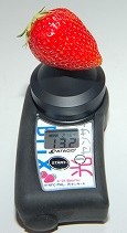 2L大のイチゴの糖度