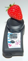 L大のイチゴの糖度