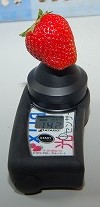 2L大のイチゴの糖度