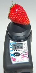 L大のイチゴの糖度