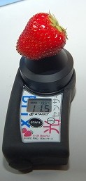 2L大のイチゴの糖度