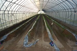 被害にあわなかった5棟目