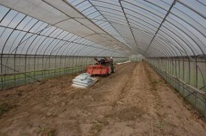 トナカイになったトラクター